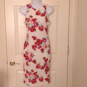 NWOT gorgeous floral dress